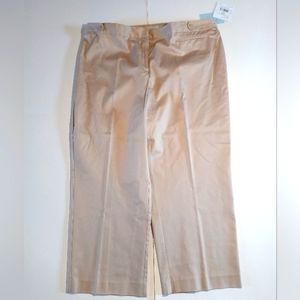 Eva Women's 18W Polished Brown Tan Stretch Ankle Length Pants JH Collectables